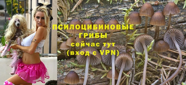 mix Арсеньев